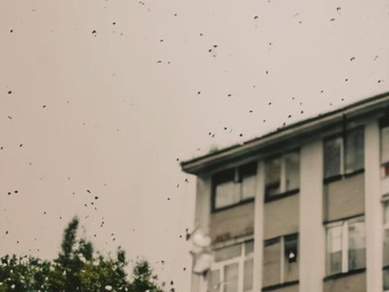 詩恩